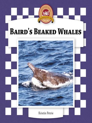 cover image of Baird's Beaked Whales
